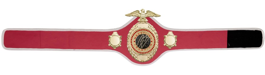 PRO288/G/WRESTGEMG - AVAILABLE IN 10 COLOURS PRO288/G/WRESTGEMG - AVAILABLE IN 10 COLOURS